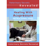 Healing Acupressure For Dogs and Cats (Video)