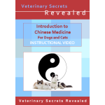 Chinese Medicine for Dogs and Cats Part I (Video)