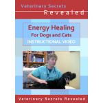 Energy Healing for Dogs and Cats (Video)