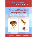 External Parasites In Dogs And Cats (Video)