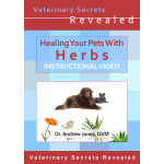 Healing Your Pet With Herbs (Video)
