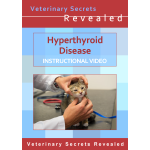 Hyperthyroid Disease in Cats