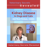 Kidney Disease In Dogs And Cats (Video)