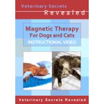 Magnetic Therapy for Dogs and Cats (Video)