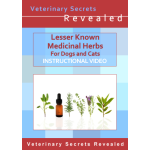 Lesser Known Medicinal Herbal Treatments for Dogs and Cats (Video)