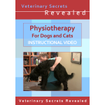 Physiotherapy for Dogs and Cats (Video)