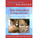 Skin Disorders In Dogs And Cats (Video)