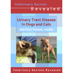 Urinary Tract Disease in Dogs and Cats (Video)