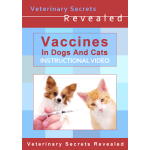 Vaccines In Dogs And Cats (Video)