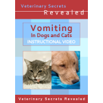 Vomiting In Dogs And Cats (Video)