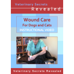 Wound Care for Dogs and Cats (Video)