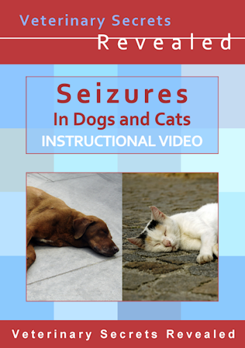 Seizures In Dogs And Cats Video,Thai Green Curry Recipe